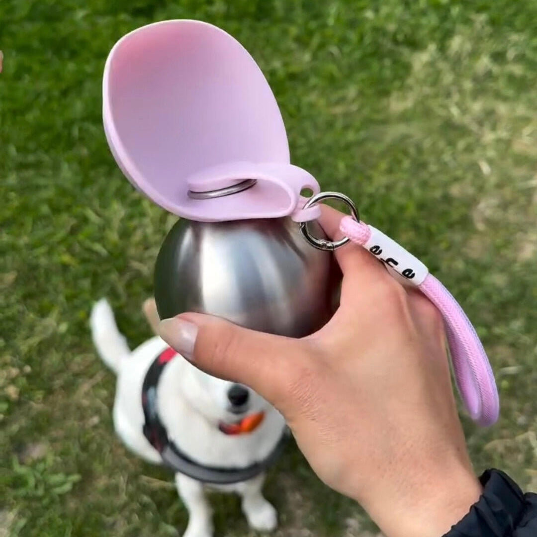 Portable Pet Water Bottle