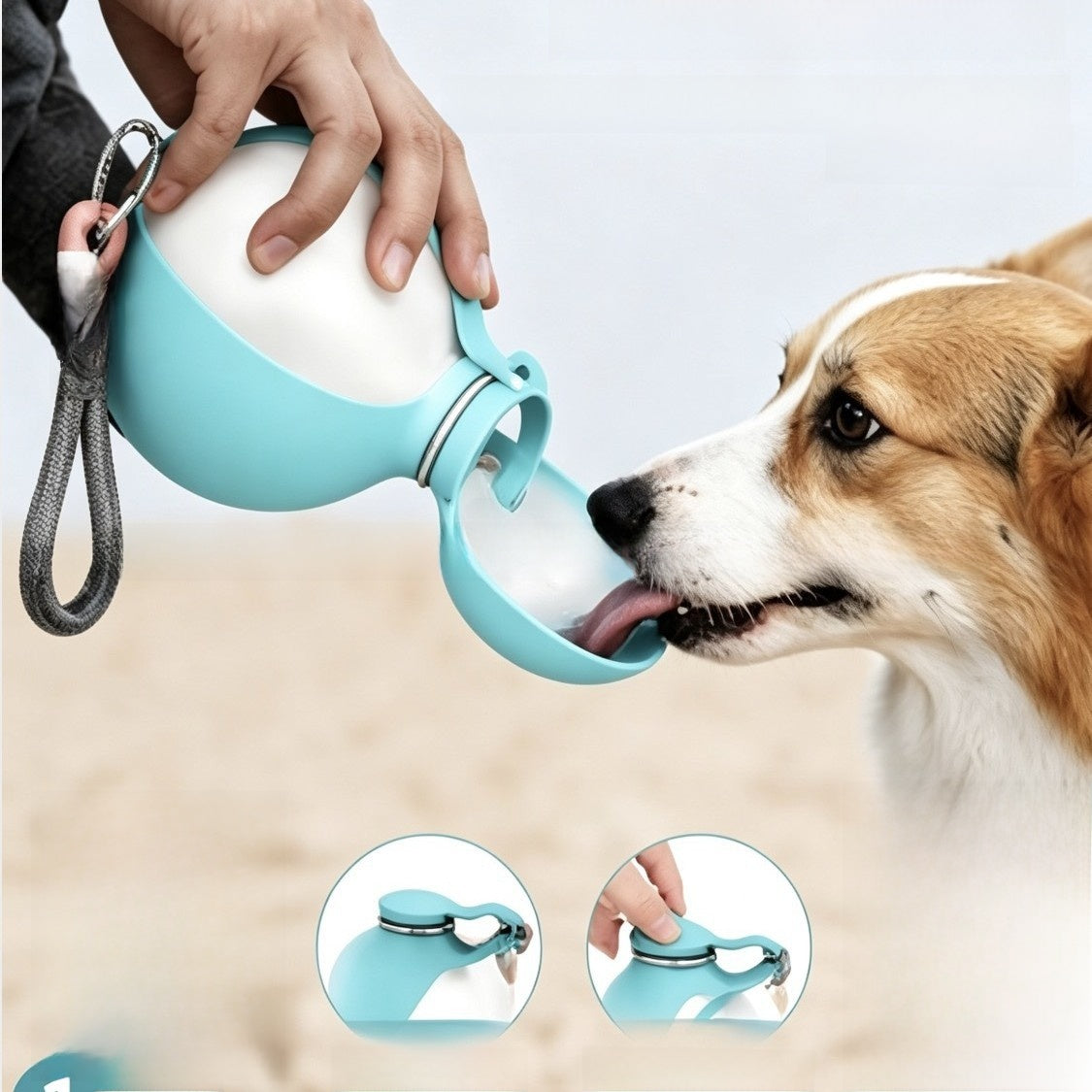 Portable Pet Water Bottle